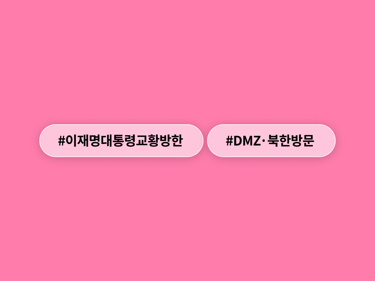 이재명 대통령이 레오 14세 교황에게 DMZ·북한 방문을 요청했어요. ✝️