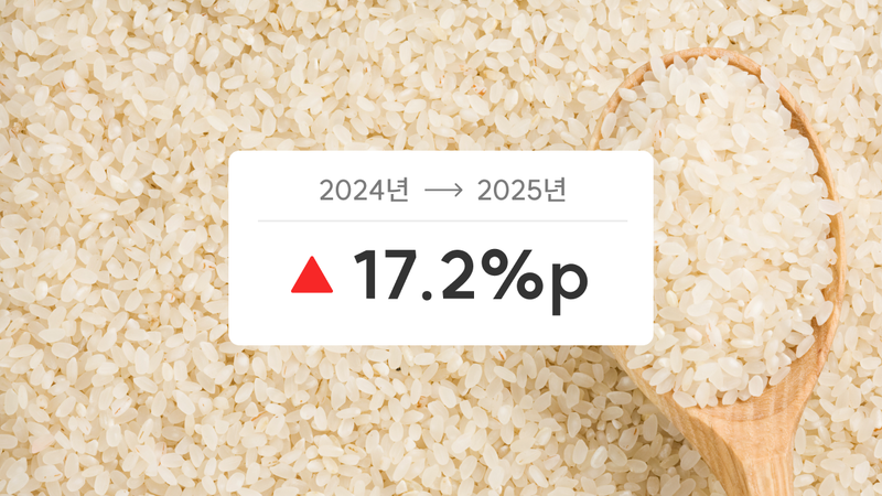 쌀 남아돈다고 하지 않았어? 쌀값이 ‘심리적 마지노선’ 6만 원 넘어 폭등한 이유 🌾