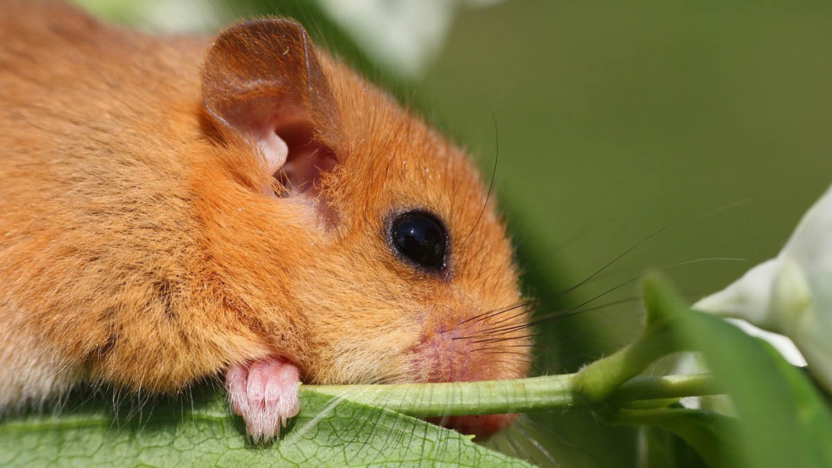 모두의 겨울잠을 지킬 수 있도록 🛌