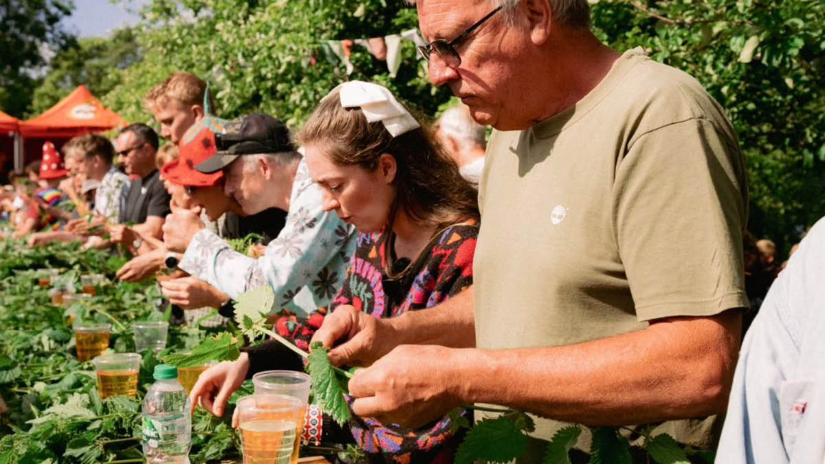 쐐기풀을 먹으라고요? 넘어갈게요 🌿