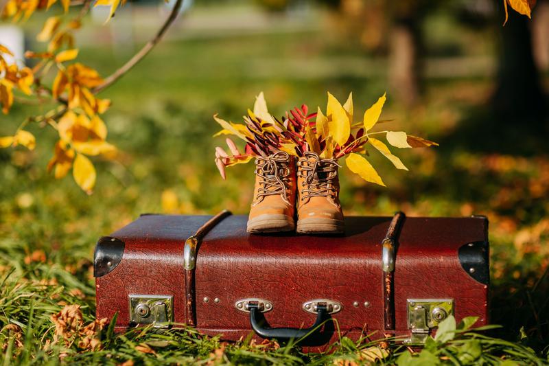 지역경제 살리기 나선 정부:  “가을·겨울 국내 여행 가시는 분? 숙박 할인권 80만 장 드려요~!!” 🍁📣