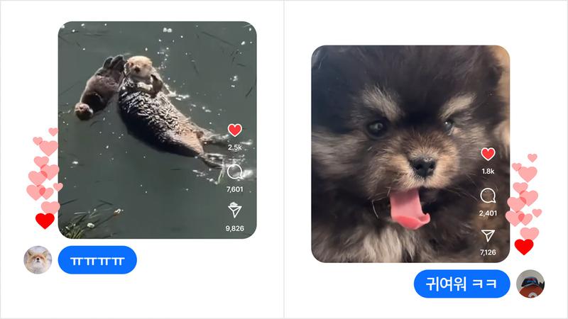 내가 친구한테 귀여운 동물 사진 자주 보내는 데엔 이유가 있다? 🐾