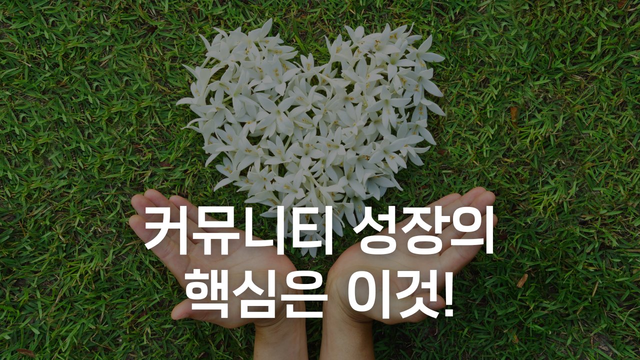 사이드로 1,000명 커뮤니티를 만든 비밀 공식