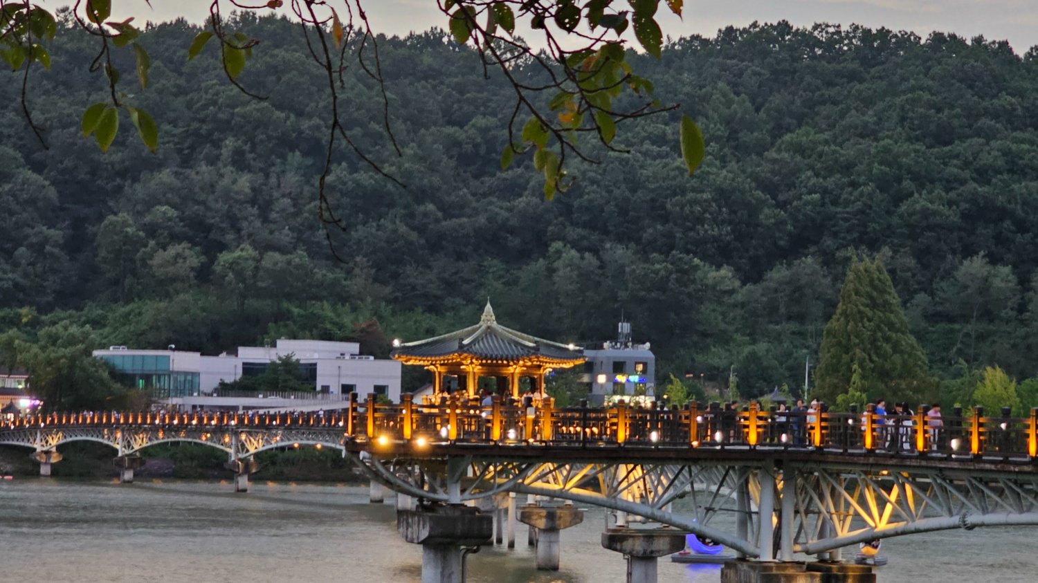 안동 '리퀴드 폴리탄'으로 거듭날 수 있을까?🌊
