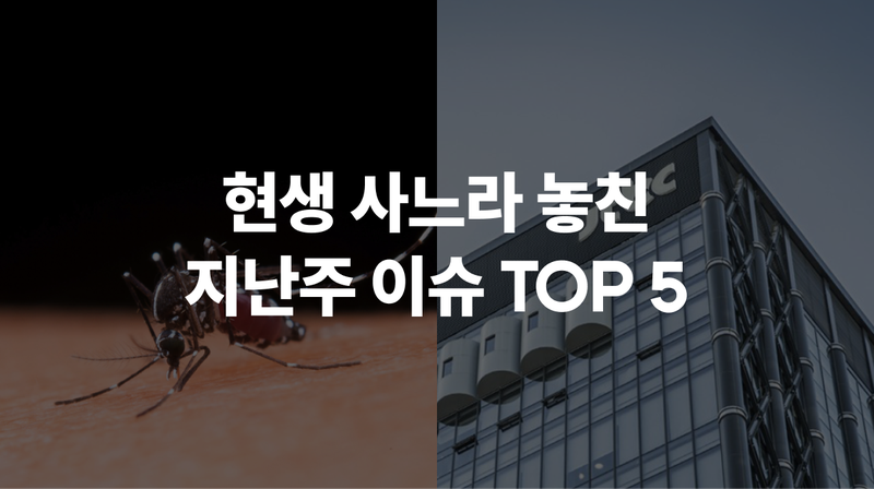 6월 3주차 현생 사느라 못 봤슴 🦔 #9000피 #일본뇌염 #하이닉스 #중앙그룹 #챗GPT