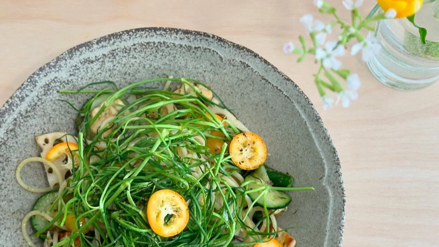 입안 가득 피어나는 봄🌸 전국 봄 제철 음식 모음