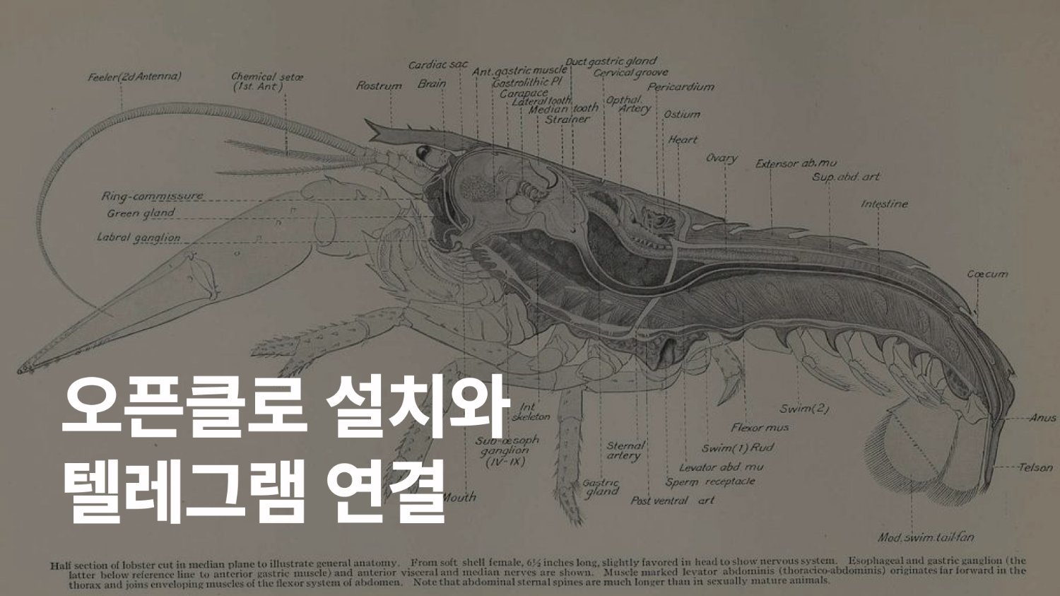 마케터가 오픈클로(OpenClaw)를 사용하는 방법 - 2편