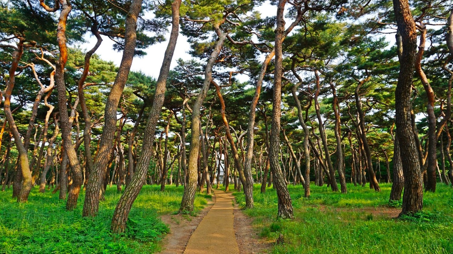 계절을 즐기며 걷기 좋은 길 4곳🚶