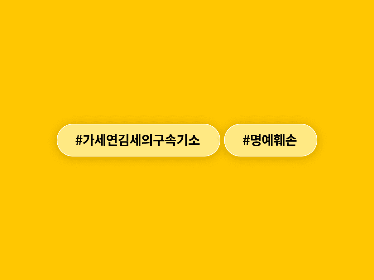 가세연 김세의 씨, 배우 김수현 씨 명예훼손 혐의로 구속기소됐어요. 🔒