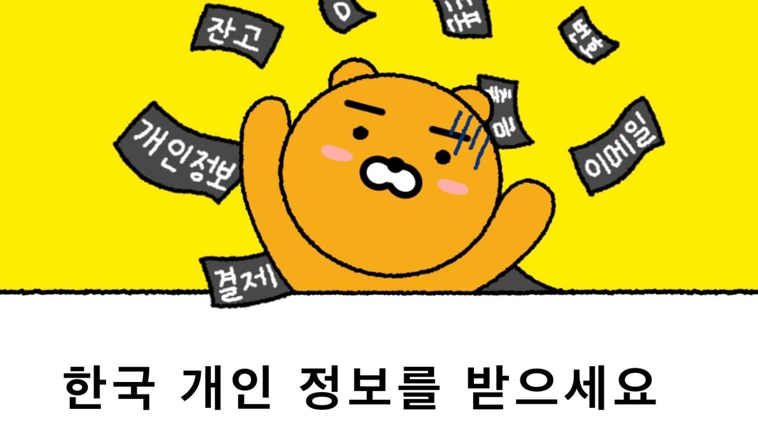 카카오페이 고객 신용정보 유출