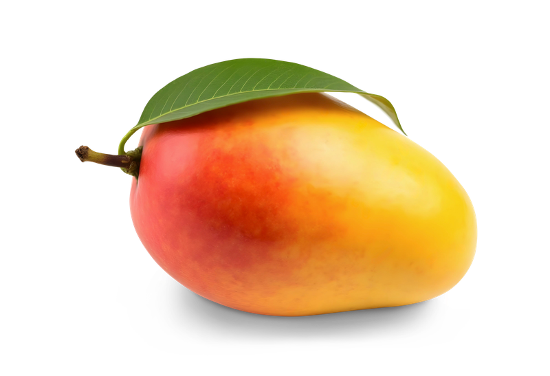스페이스X 상장 이후 떠오른 ‘망고스(MANGOS)’ 무슨 뜻이야? 미국 증시에서 M7 대체할까? 🥭📈