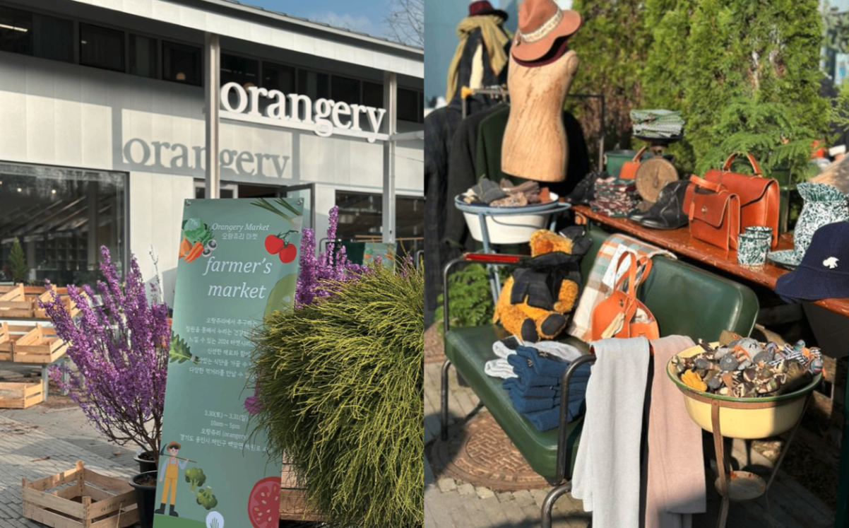 🧺봄의 날씨를 만끽하며 즐기는 야외축제 가볼랭?💐