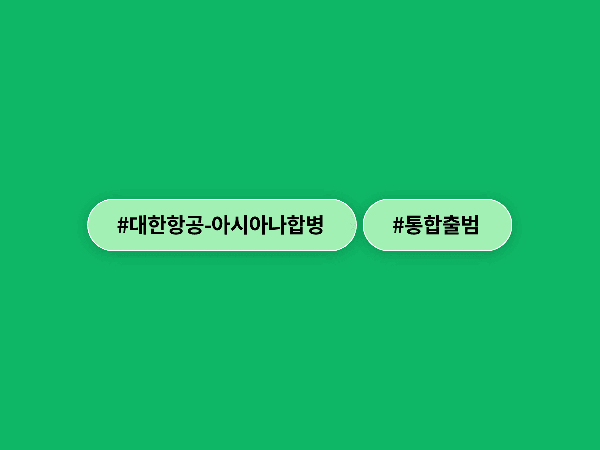 대한항공-아시아나항공이 12월 17일 '통합 대한항공'으로 출범할 예정이에요. ✈️