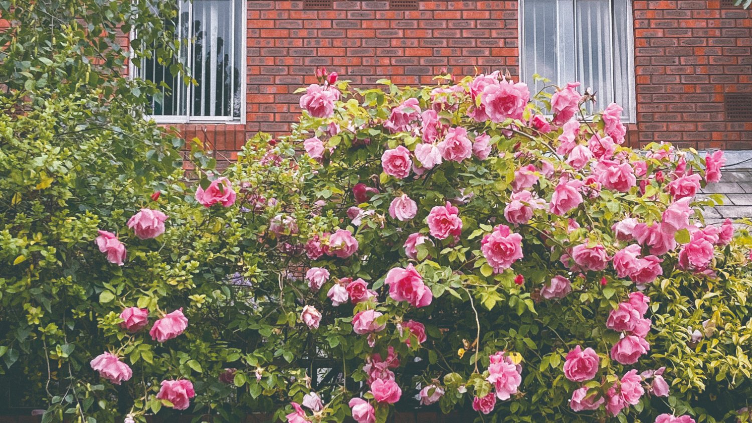 1년 열두 달 영국 여행 기분 내는 법 알려줌