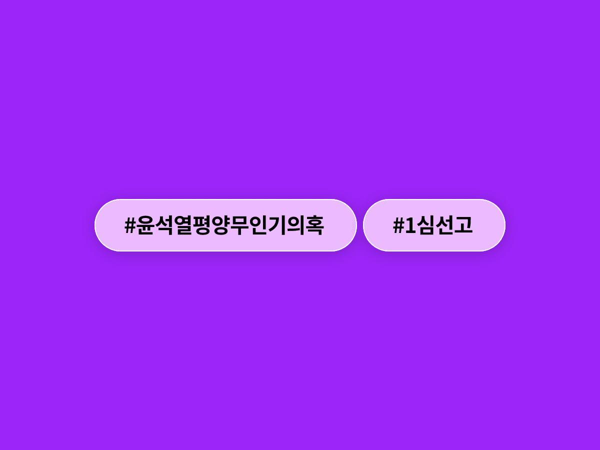 법원이 윤석열 전 대통령 평양 무인기 의혹 1심 선고 생중계를 불허했어요. ⚖️