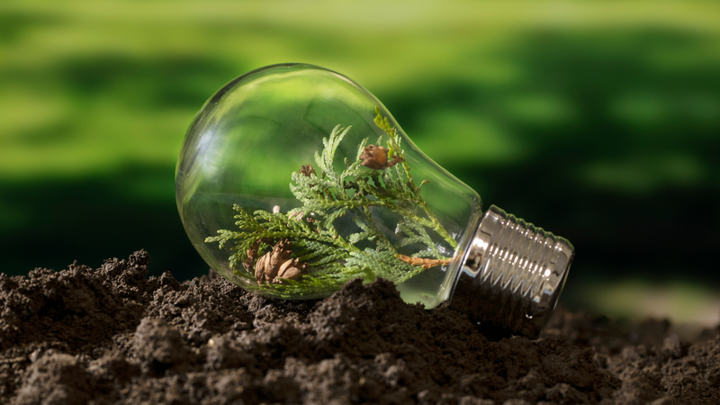 2026 에코마일리지 제도, 이제부터 음쓰 버릴 때도 ‘신청’하세요 ✅