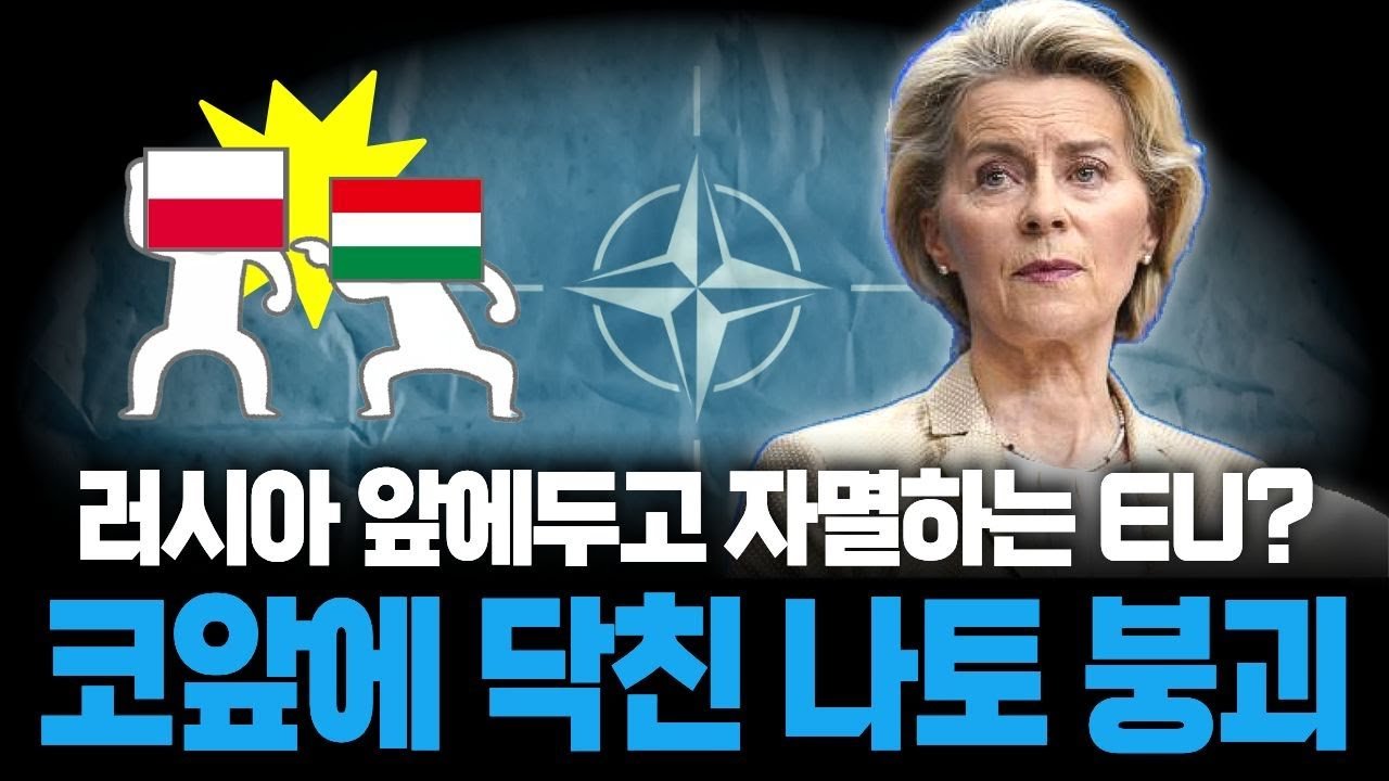 폴란드와 헝가리 장관들이 온라인에서 서로를 '저격'한 이유🖥️