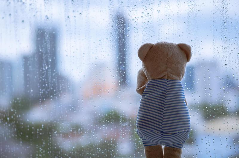 올해 장마, 진짜 이번 주말부터 시작하는 거 맞아? 🤔☔️ (+ 팩트체크✅)