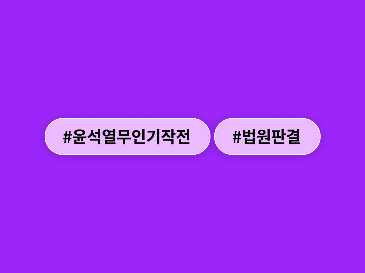 법원이 평양 무인기 작전을 윤석열 전 대통령의 정치적 목적을 위한 것으로 인정했어요.