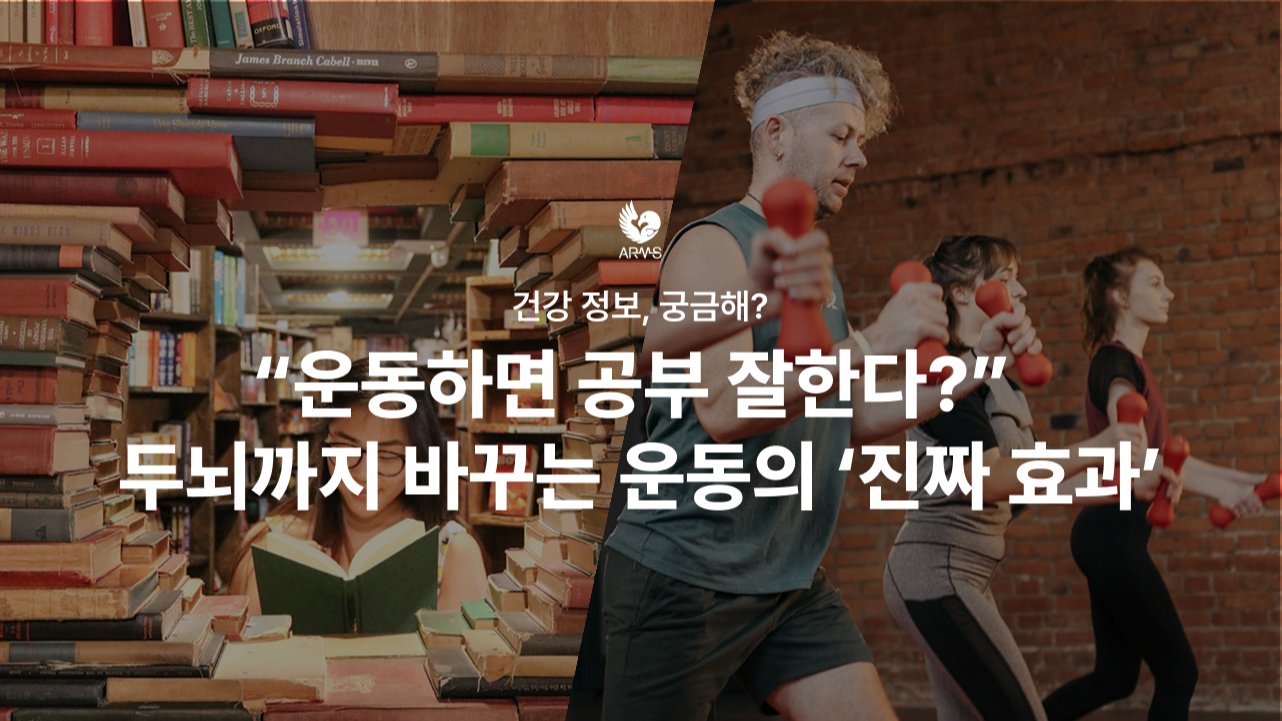 “운동하면 공부 잘한다?” 두뇌 효율까지 바꾸는 운동의 ‘진짜 효과'
