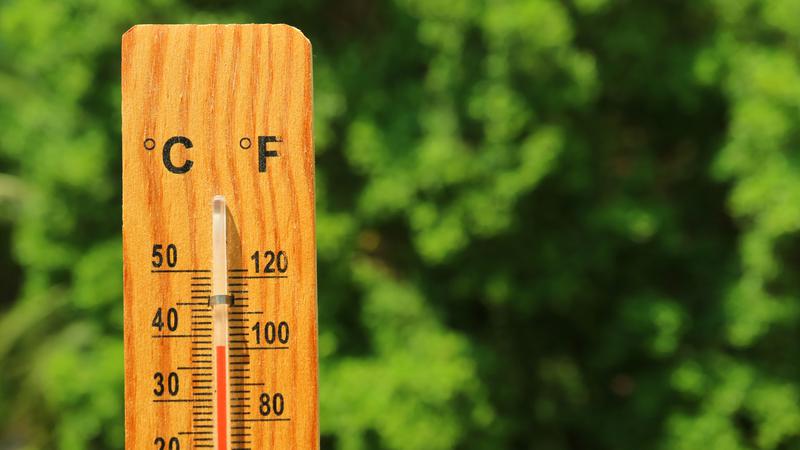 온열질환 예측정보 공개: 다음 달부터 폭염 위험 미리 볼 수 있어요 ☀️