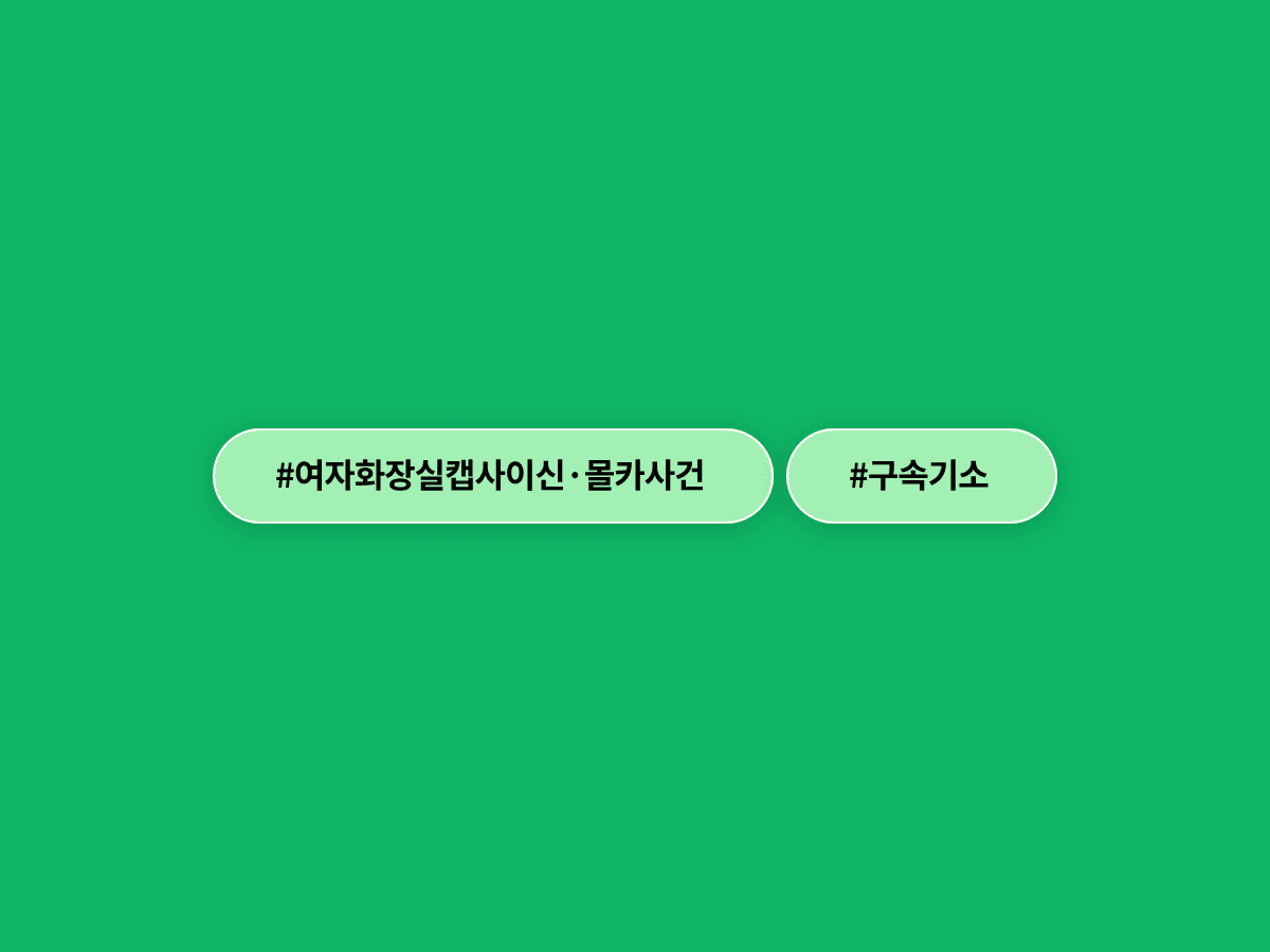 여자화장실 휴지에 캡사이신 뿌리고 몰카까지 설치한 사회복무요원, 구속기소됐다고?
