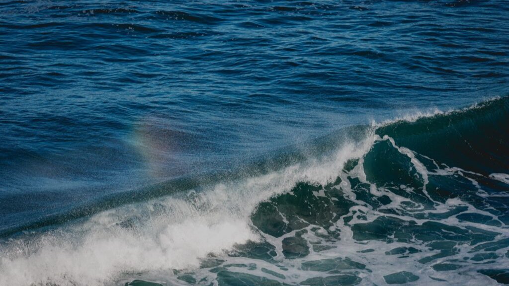 [3.31 경제안보 브리핑💸]