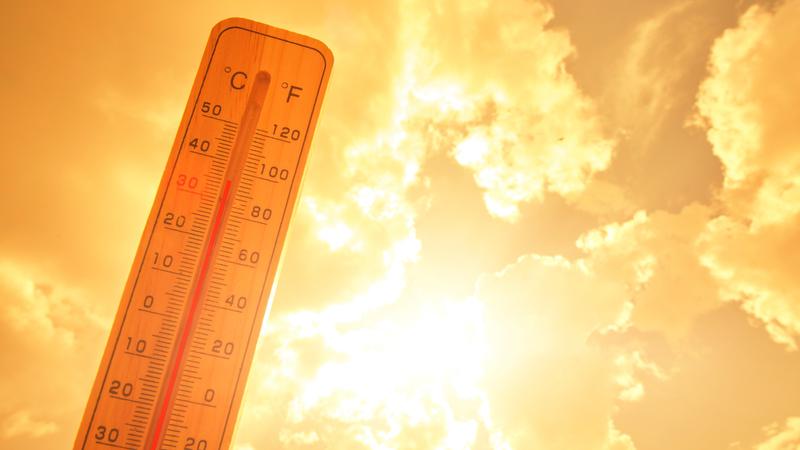 최근 날씨가 초여름 더위를 보이는 이유와 올여름 더위 전망 🥵