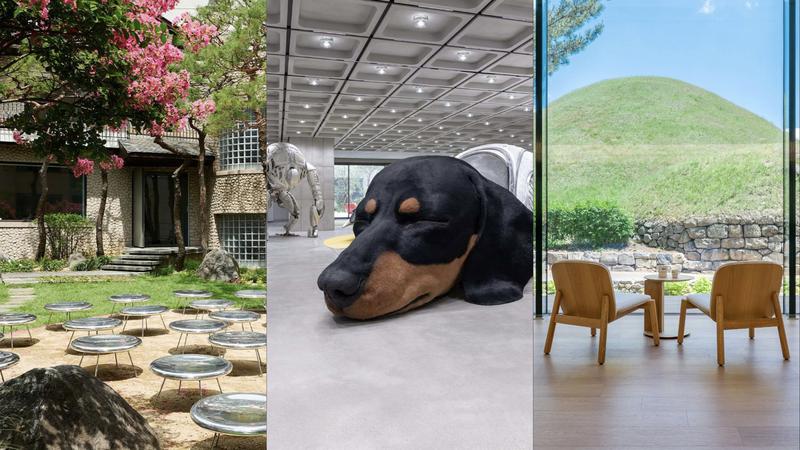 가을 맞이 당일치기 여행, 나들이 가기 좋은 건축·공간 추천 🏛️