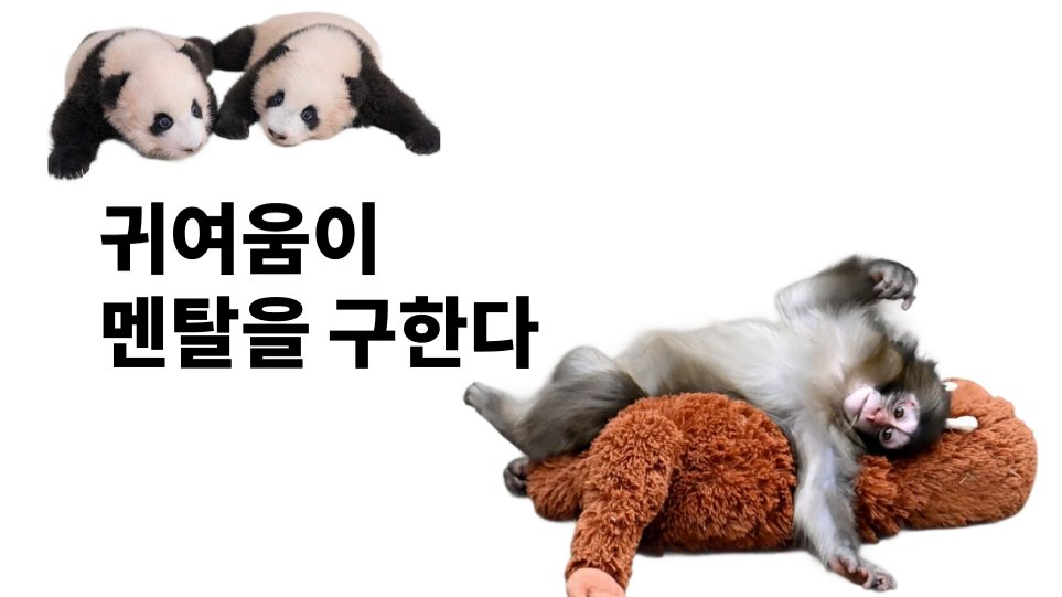 ๐ถ ๊ท์ฌ์์ด ๋ฉํ์ ๊ตฌํ๋ค