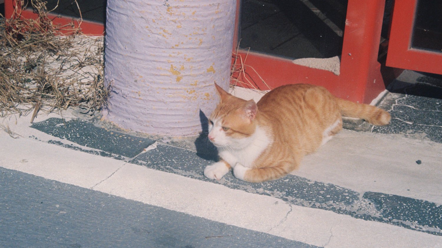 [쉬어가요] 소소한 이야기