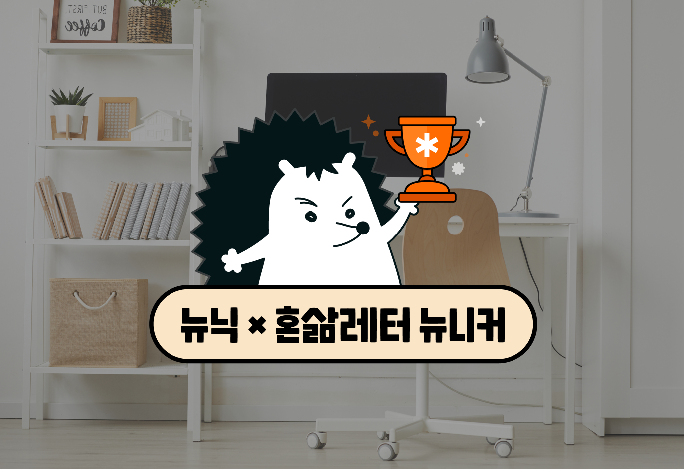 [뉴닉X혼삶레터 3] 알아보고 살 걸… 우리가 후회한 자취템 📦