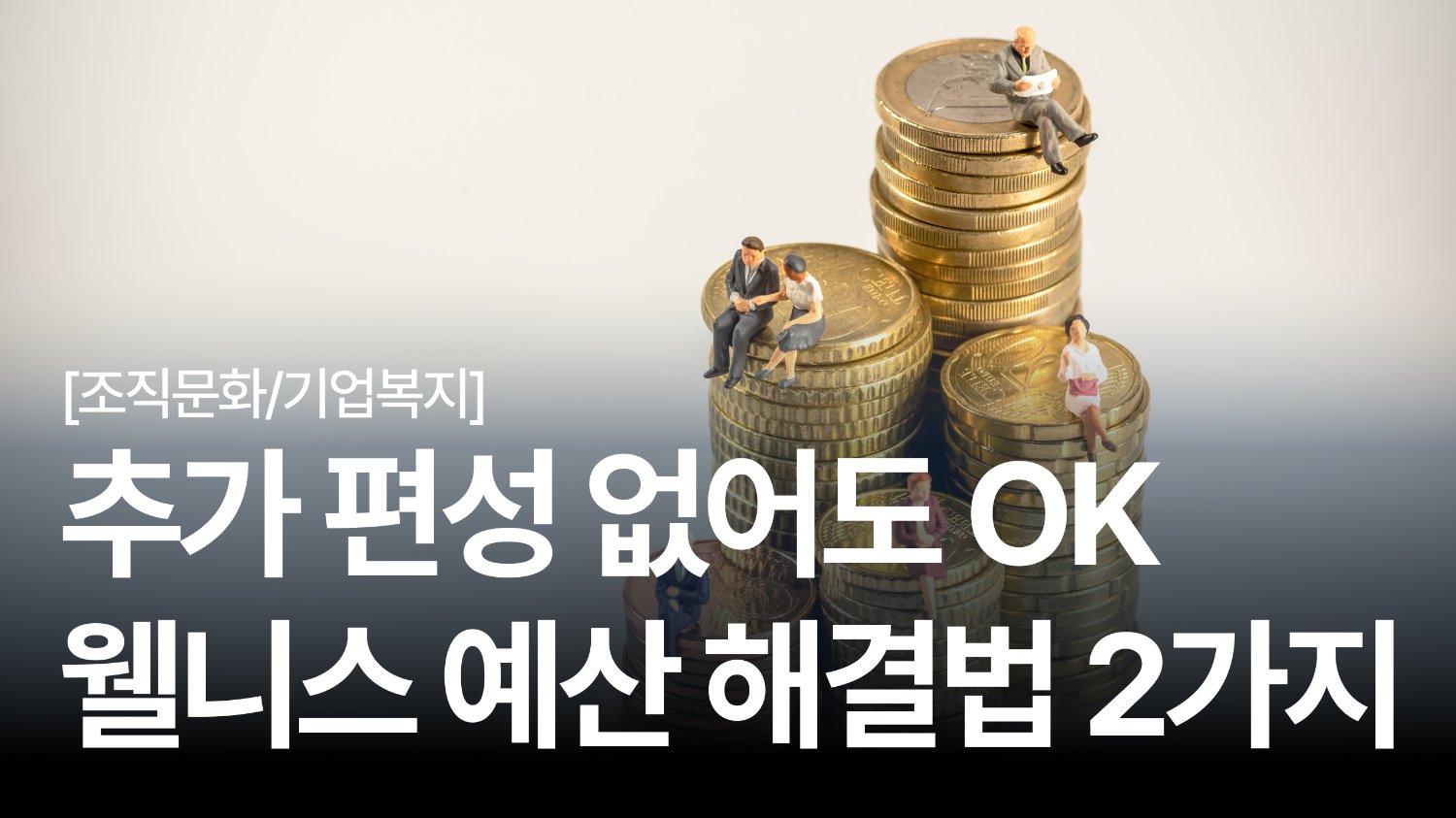 추가 편성? 없어도 OK 👌 웰니스 도입을 위한 예산 해결법 2가지