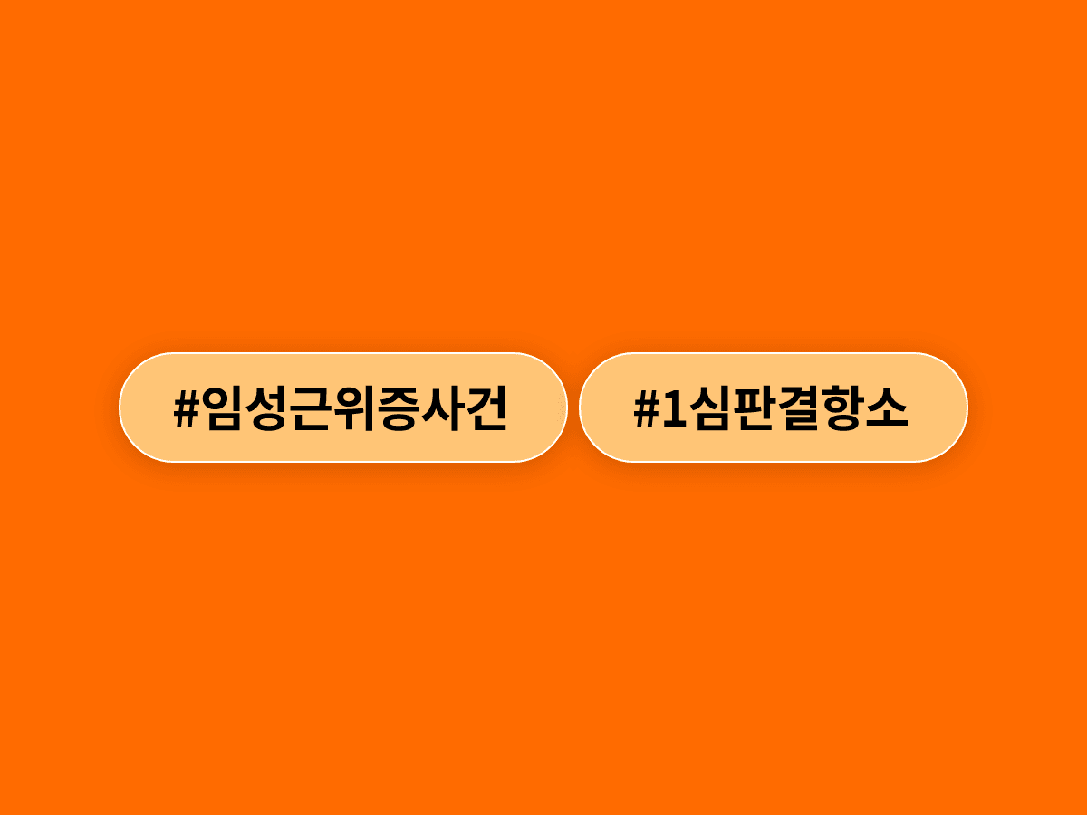임성근 전 해병대 1사단장이 국회 위증 혐의 1심에서 징역 1년 6개월을 선고받고 항소했어요. ⚖️