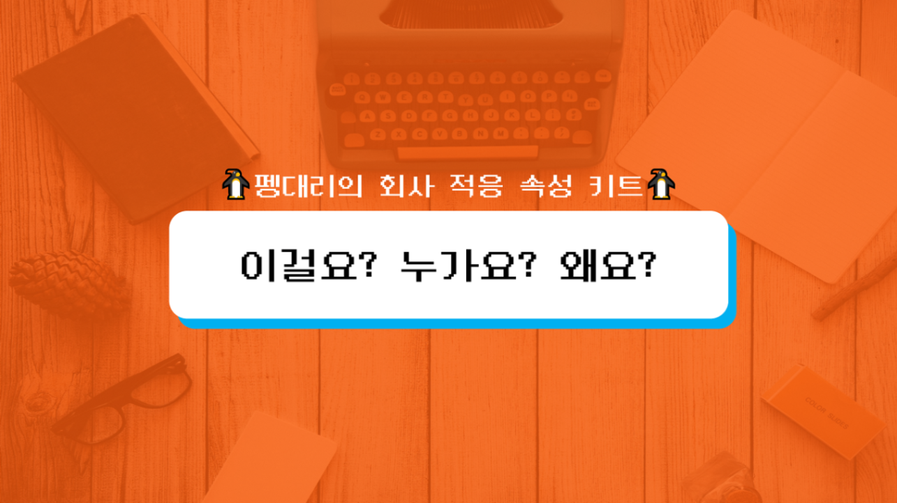 이걸요? 누가요? 왜요?