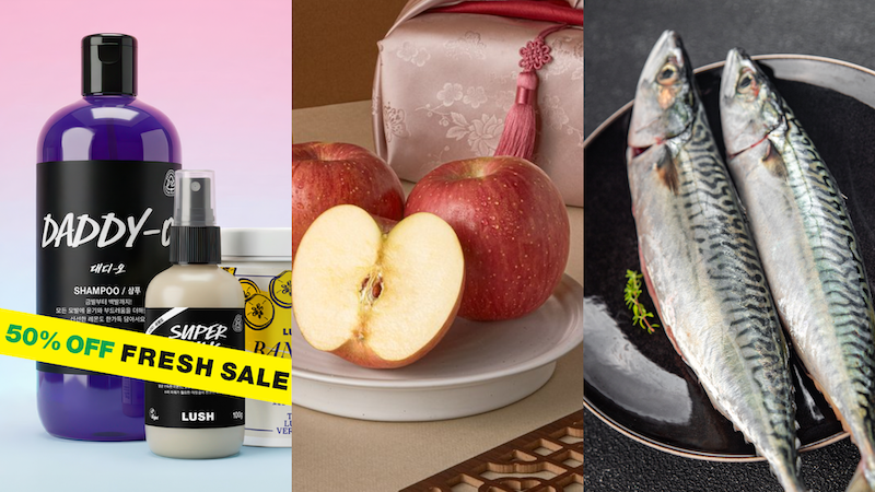 ‘2026 러쉬 프레쉬 세일’부터 ‘고등어 특별 할인전’, ‘자연주의’ 선물세트까지  [이 주의 할인 행사]