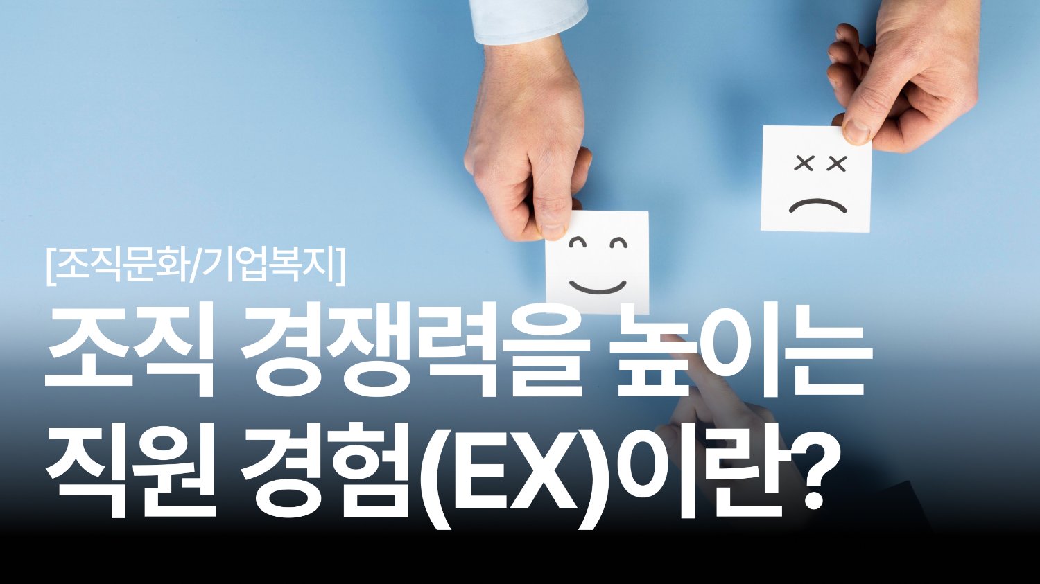 ✨ 직원이 스스로 회사에 남고 싶게 만드는 3가지 비밀