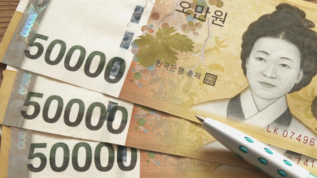 이재명 정부 민생지원금, 1인당 15만 ~ 50만 원 유력
