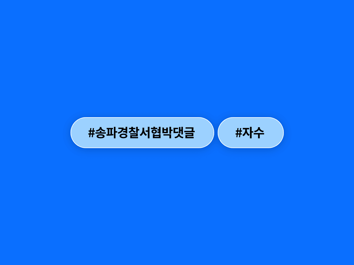 송파경찰서 무기고 털자" 협박 댓글 작성한 20대 남성이 경찰에 자수했어요. 🚨