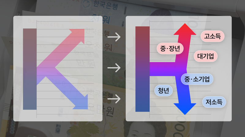 K자형 양극화 넘어 H자형 양극화? 코스피·경제 호황에도 소득·자산 격차 커지는 이유