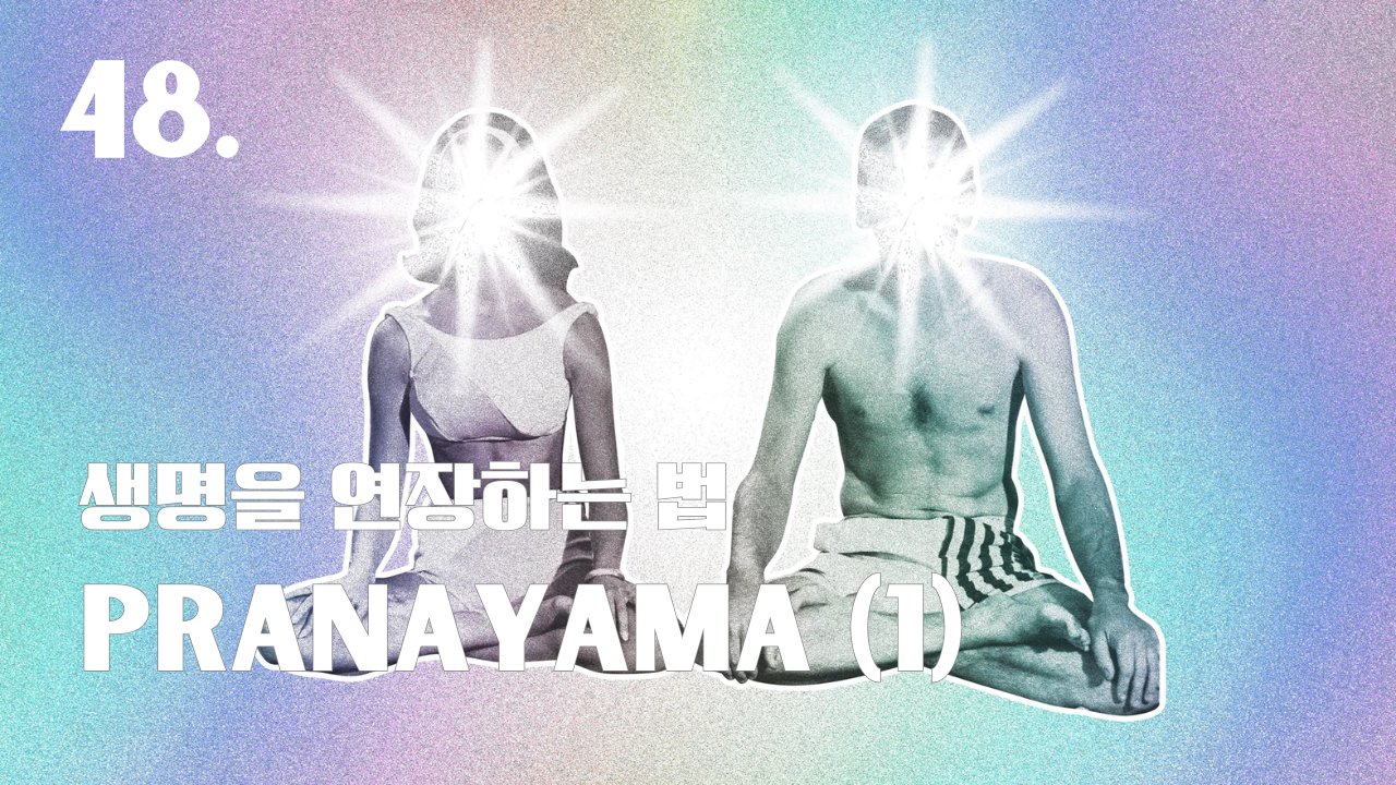 48호. 당신이 몰랐던 숨쉬기의 기술