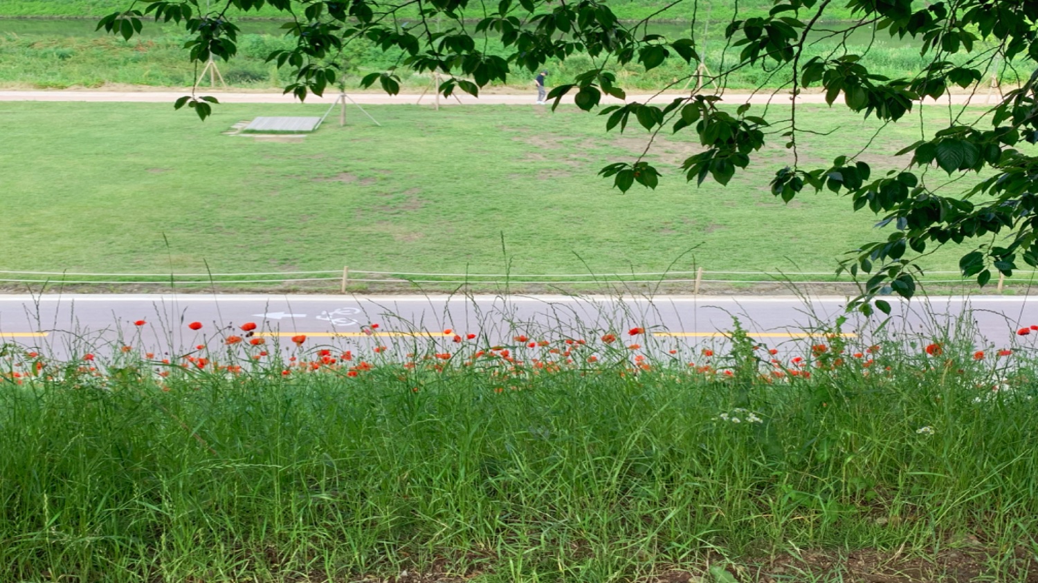 [안양천] 마음을 돌봐주는 장소가 있나요?