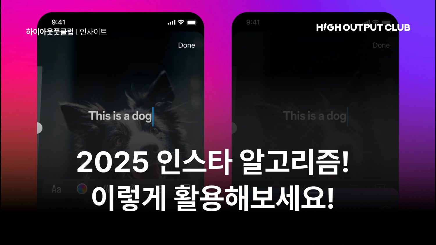 2025 인스타그램 알고리즘은 어떻게 변화했을까요?
