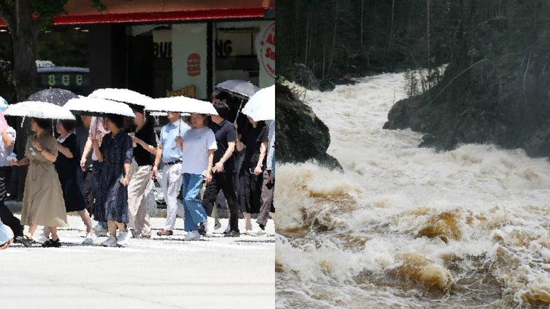‘슈퍼 엘니뇨’ 올까? 엘니뇨가 올여름 더위·물가까지 흔드는 이유 🌊