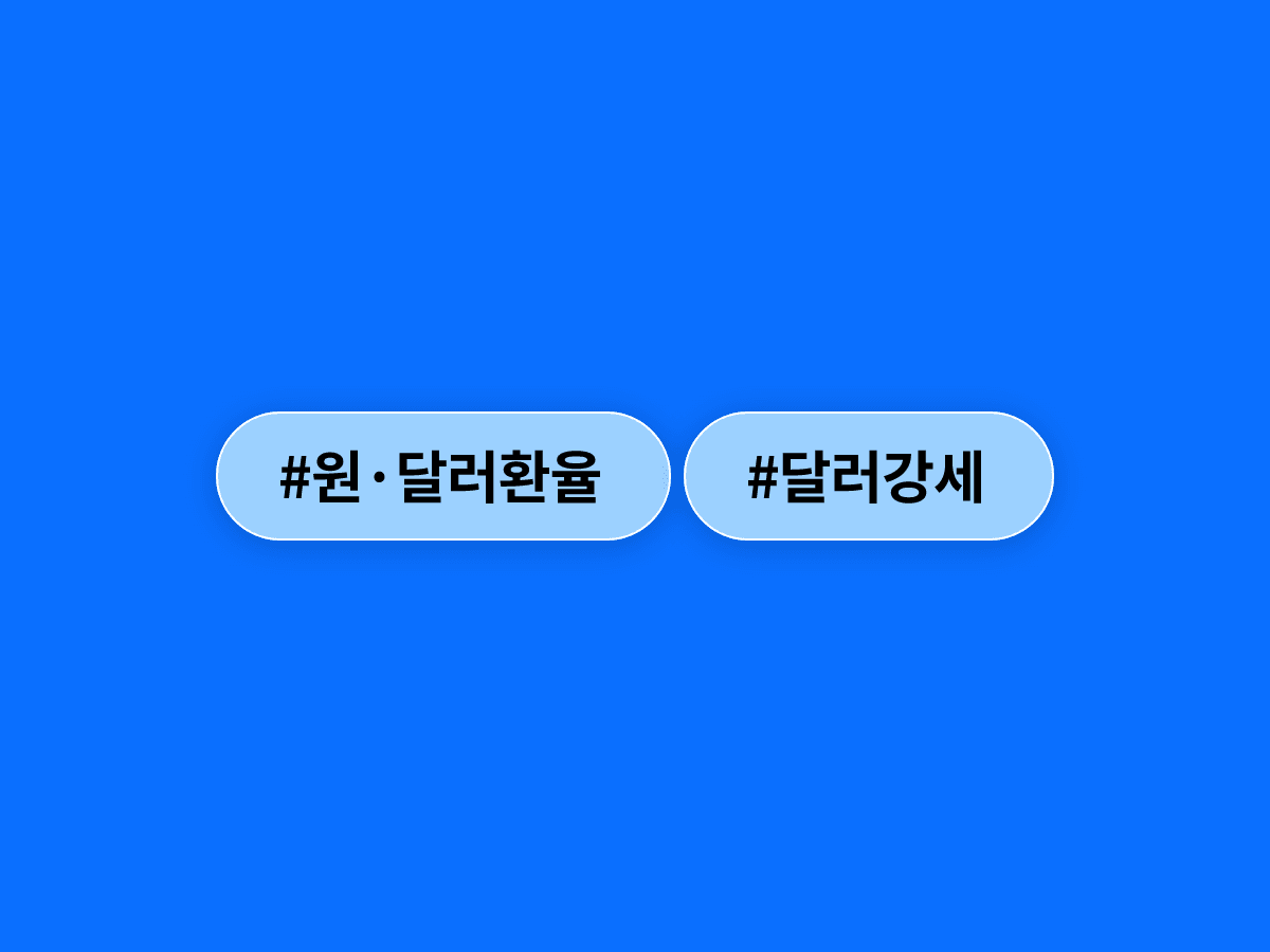 원·달러 환율이 17년 만에 1543원으로 개장했어요. 📈