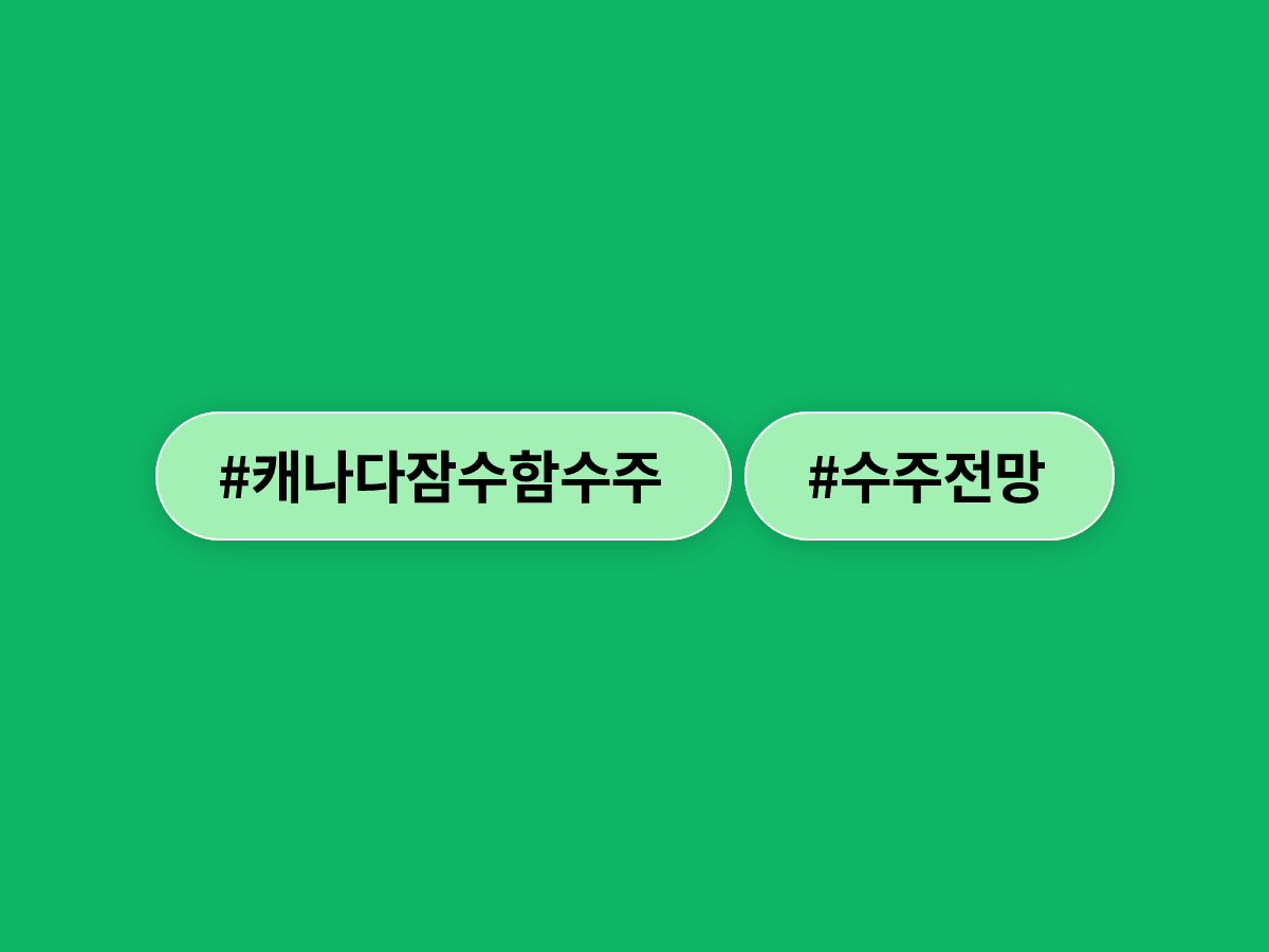 이재명 대통령이 캐나다 잠수함 수주에 "기대하지만 낙관은 어렵다"고 밝혔어요. 🚢
