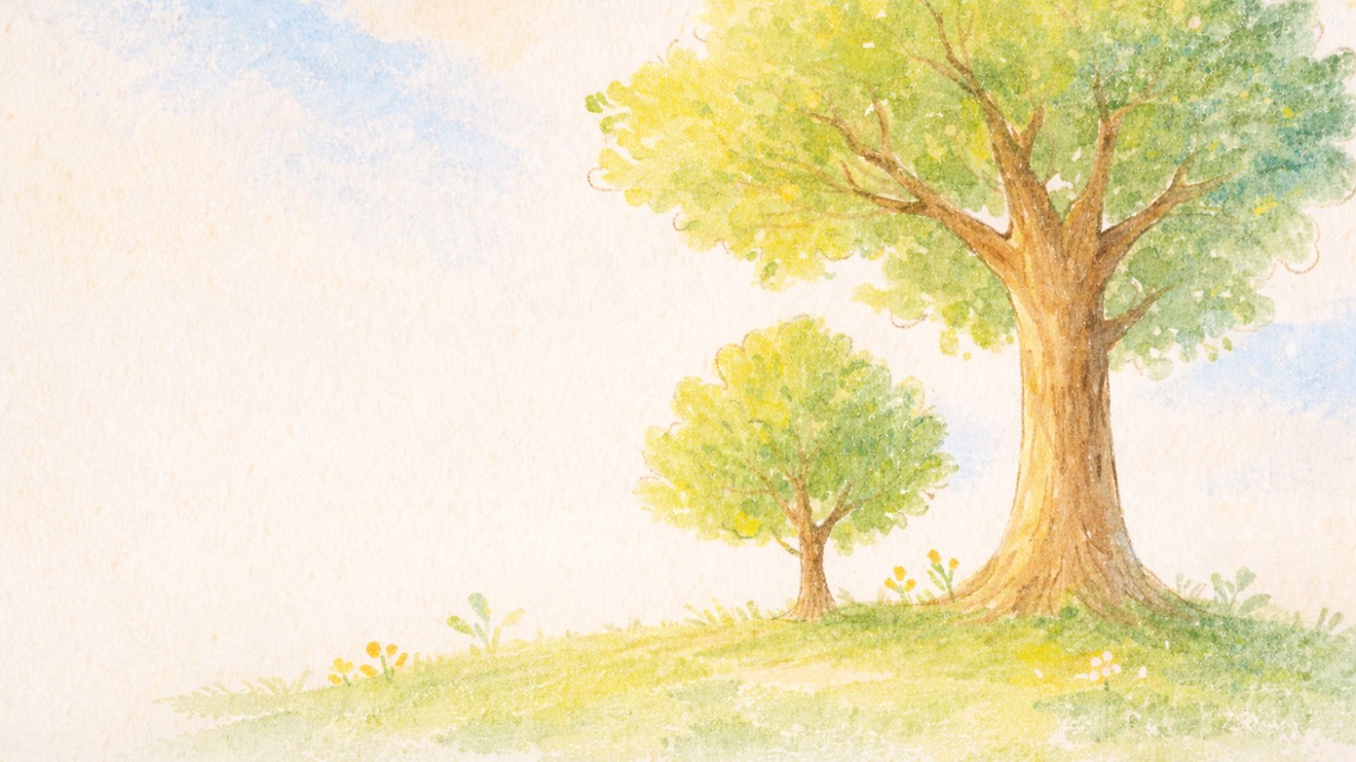 [인터뷰] 남성 비장애형제자매 척척석사🎓의 이야기