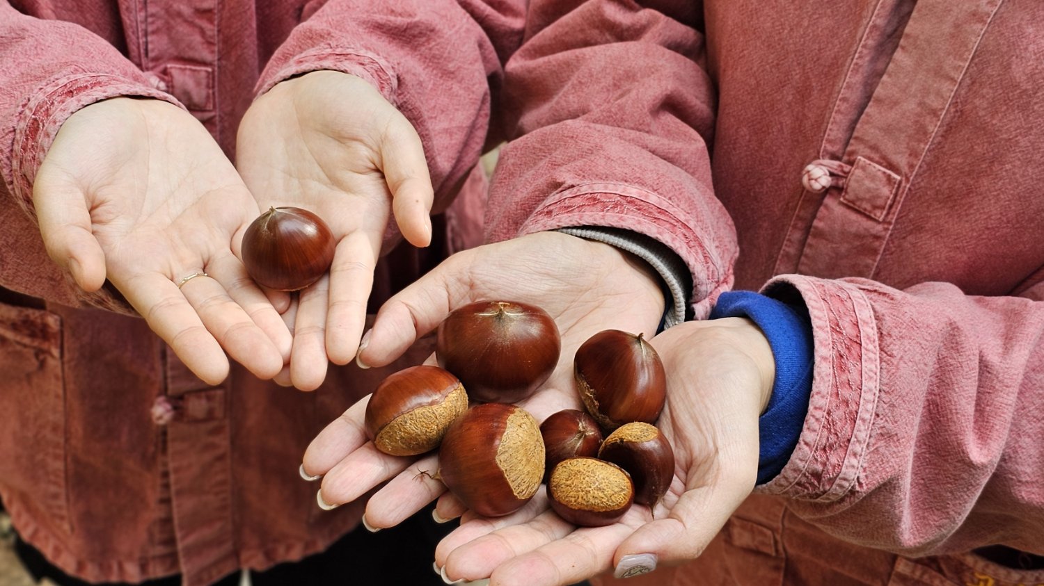 할머니 손맛을 느낄 수 있는 따뜻한 촌캉스!🍂 '고마워 할매'