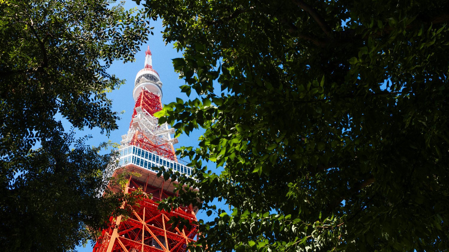 일본 여행 '숙박세'?!💸오버투어리즘 해결 열쇠가 될까?