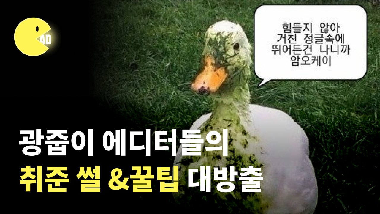 광고AE, 마케터 크루 '광고줍줍 광줍이'의 취준 꿀팁 대방출